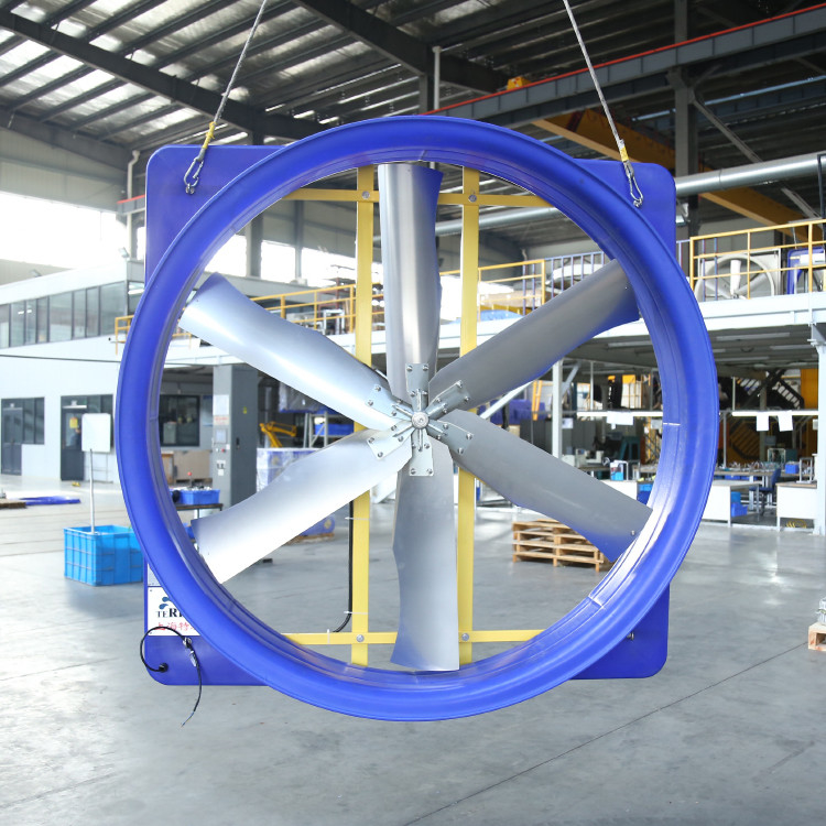 Máy thông gió gia súc hiện đại 2kW 6,2m/s Tốc độ gió để làm mát gia cầm
