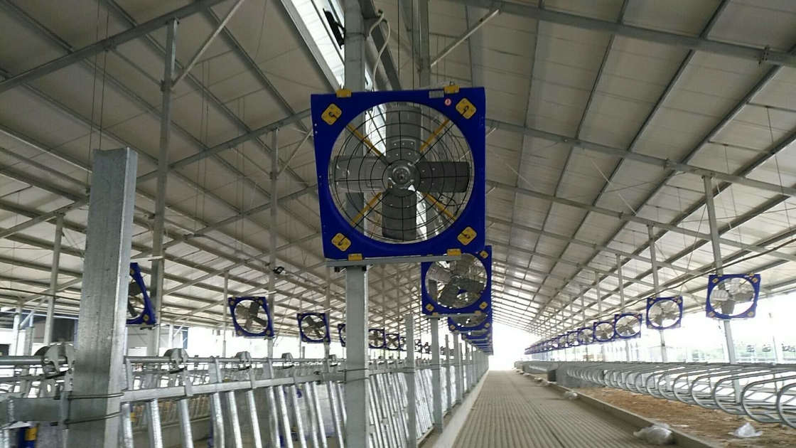 Sức mạnh 38 Quản lý thông gió động vật Ventilation Circulation Fan với khung PE lớp kép và công suất đầu vào 410w