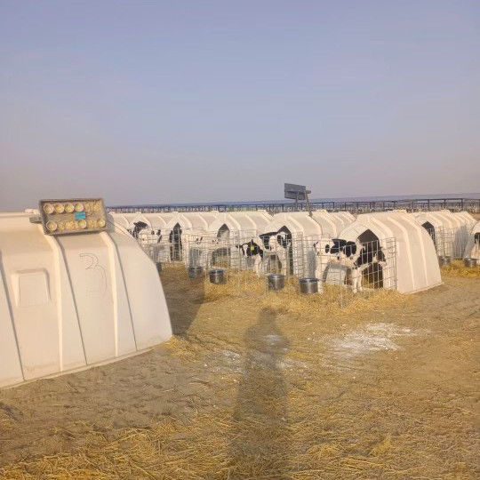 Polyethylene Dairy Calf Hutches thích hợp cho các con bê ở mọi lứa tuổi và kích thước 220*145*145cm
