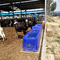 Bể chứa nước dài 4m bền cho vật nuôi 260L LLDPE Máng nước cho vật nuôi