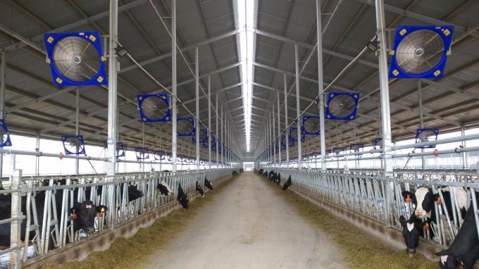 Quạt công nghiệp Terrui Giải pháp làm mát tối ưu cho doanh nghiệp của bạn 0