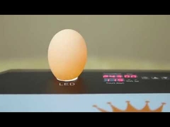 15pcs Eggs Incubators for Hatching Eggs  for Chicken Duck and Goose eggs