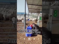 Bảo quản nhiệt bể nước chăn nuôi cho nguồn cung cấp nước đáng tin cậy 200kg Capacity