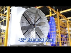 Cải thiện lưu thông không khí với quạt gia cầm 121139m3/h và động cơ PMSM