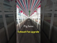 Volume Industrial Exhaust Fan 72 Inches Blade Diameter IP55 Grade bảo vệ