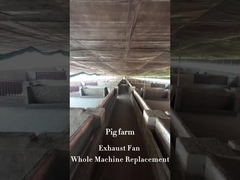 1830mm Chiều kính lưỡi là quạt công nghiệp