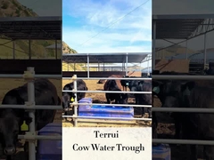 Gia súc tự động tưới nước