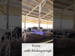 LLDPE Sản phẩm chăn nuôi tự động nước với 3 bộ của 220V300W đĩa sưởi ấm cho gia súc