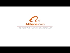 2024 Hồ sơ công ty