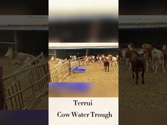 Máy tưới nước tự động chăn nuôi với chiều cao uống 250mm LLDPE dòng chảy