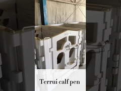 Giữ cho bê ấm áp và di động bằng cách sử dụng những cái nắp sữa có cách ly