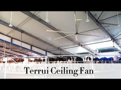 9.53m3/min Luồng không khí Quạt trần công nghiệp 14300 m3/min Max Output