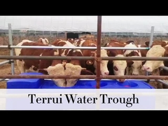 85L Blue Heavy Duty Thùng tưới nước với 3/4 dây chuyền