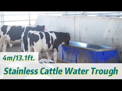 Thùng nước nuôi gia súc polyethylene chống va chạm hạng nặng với tốc độ dòng chảy 30-50L/min