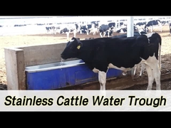 2 bộ 1800W điều chỉnh sưởi ấm gia súc máy tưới nước tự động với tốc độ dòng chảy 100-120L / phút