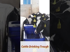 120L/min Tốc độ dòng chảy Polyethylene kháng bò nước uống