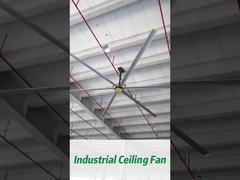 6pcs Lôi công nghiệp quạt trần với 14300m3/min Luồng không khí cho IP55 Hội thảo