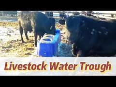 Tỷ lệ dòng chảy 40L/min Đồ uống bò xanh để có hiệu quả nước tối đa