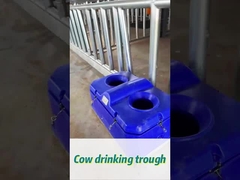 Máy tưới nước bò có tốc độ lưu lượng cao để tưới dễ dàng ở độ cao uống 450mm