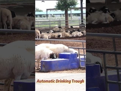 Tỷ lệ lưu lượng 120L/min Cỗ nước uống bò 150L Công suất sản xuất nông nghiệp