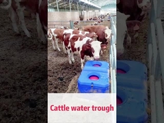 LLDPE Blue Cow Waterer Giải pháp hoàn hảo cho quản lý gia súc