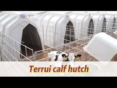 Ngôi nhà thả gió cho bê