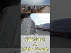 220*145*145cm Bốn góc sữa bò cho sức khỏe và hạnh phúc được cải thiện