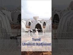 Chăn bò sữa polyethylene trắng - Thiết bị thiết yếu cho các trang trại sữa