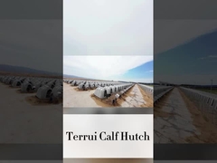 220*145*145cm Chăn bò sữa trắng hoàn hảo cho nhu cầu nông nghiệp