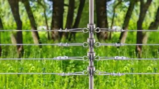 Bảo vệ vật nuôi của bạn: Cách lắp đặt chất cách điện chữ T trên hàng rào điện