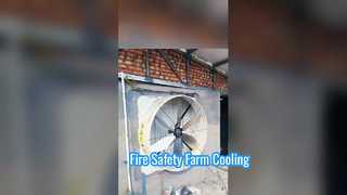 Thông gió tốc độ cao: Quạt hút công nghiệp Terrui đang hoạt động