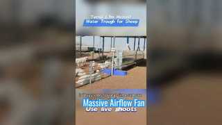 Máng nước chăn nuôi được làm nóng dài 1,7m được làm bằng vỏ nhựa bền để chịu được điều kiện cực lạnh